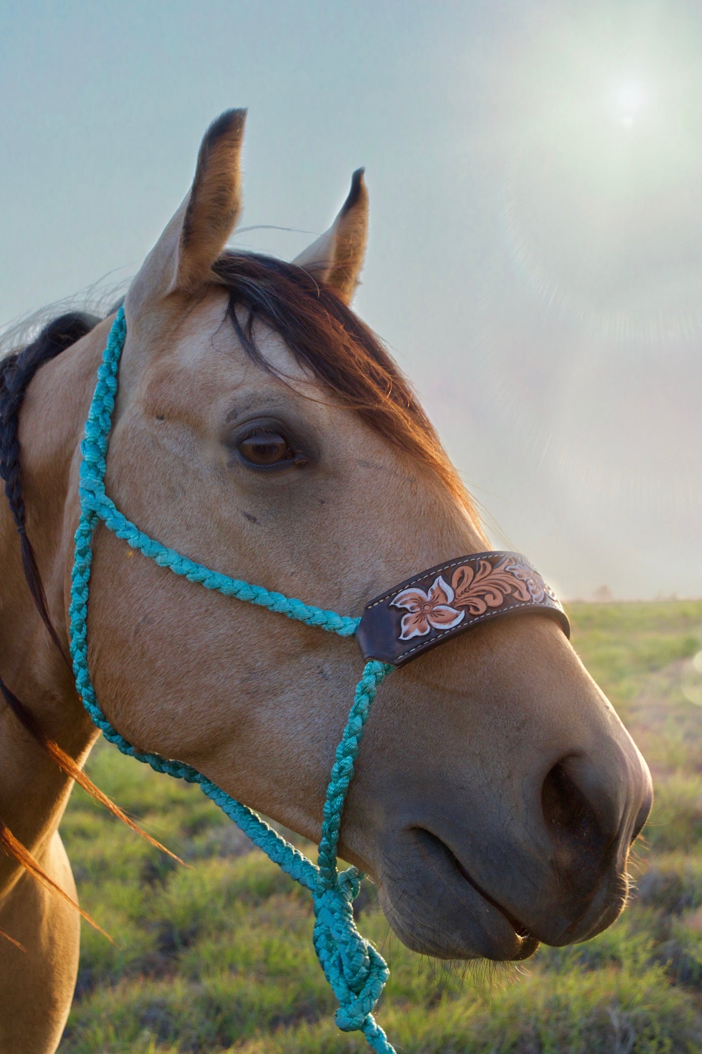 Tooled mule tape halters- light teal
